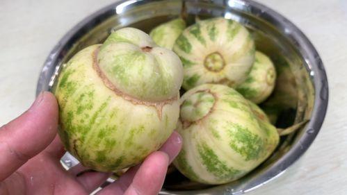 甜瓜美食爆料视频大全,解锁夏日清新美味新境界 第3张 甜瓜美食爆料视频大全,解锁夏日清新美味新境界 第3张